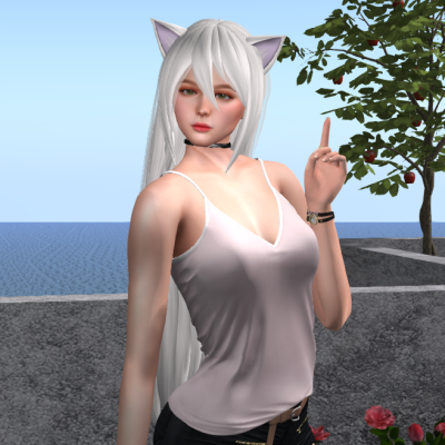 [^.^Ayashi^.^] Lotta hair (Ear)