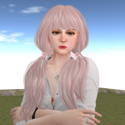 [^.^Ayashi^.^] Noriko hair